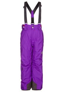 The North Face   SKYWARD   Waterproof trousers   purple