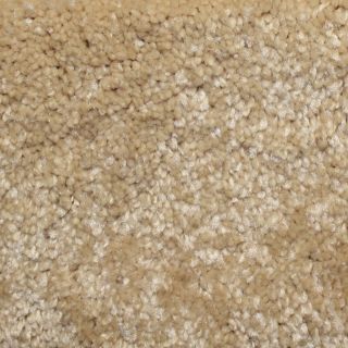 Looptex Mills Rush Landing Cream Cut Pile Indoor Carpet