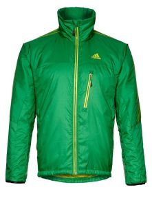 adidas Performance   TERREX SWIFT PRIMALOFT   Outdoor jacket   green