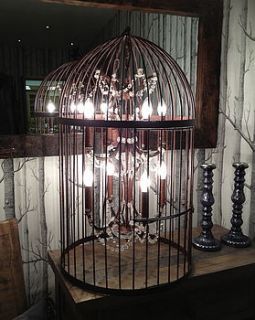 bronze eight light birdcage chandelier by cowshed interiors