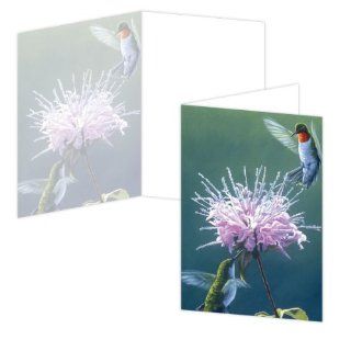 ECOeverywhere Flittering Jewels Boxed Card Set, 12 Cards and Envelopes, 4 x 6 Inches, Multicolored (bc11588)  Blank Postcards 