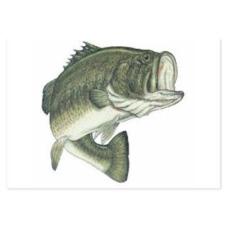 large mouth bass Invitations by petdrawings