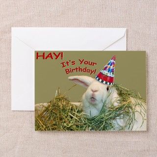 Bunny in Hay Birthday Greeting Cards (Pk of 10) by alisongiese