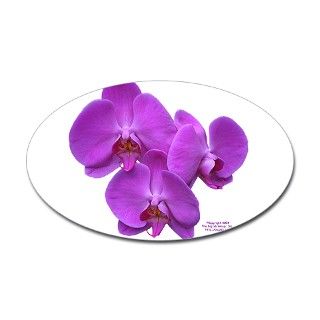 Purple Phalaenopsis Orchids Oval Decal by wildsafari