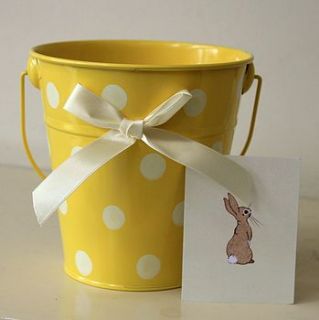 spotty bucket by little ella james