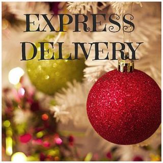 express delivery by suzy q