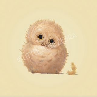 illustrated owl print by little blue zebra