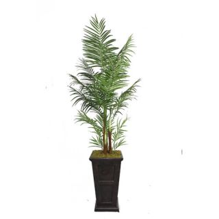 Laura Ashley Home Tall Areca Palm Tree in Planter