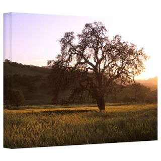 Art Wall Kathy Yates Golden Hour Gallery Wrapped Canvas Wall Art