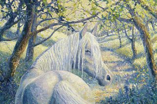 a white horse in a summer bluebell wood by gill bustamante   artist