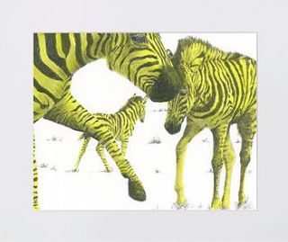zebra family giclée print by ethical trading company