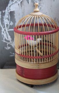 singing wooden bird in cage by posh totty designs interiors