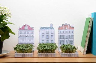 city matchcarden trio growing kit by another studio