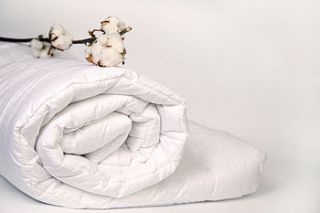 natural goose  down duvets by the chateau company