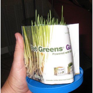 Pet Greens Garden Wheat Grass Self Grow Kit