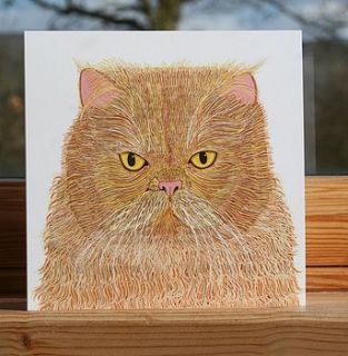 cat collection 'marmalade' greeting card by bird