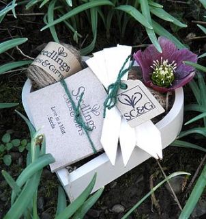 mini love grows gift set by seedlings cards