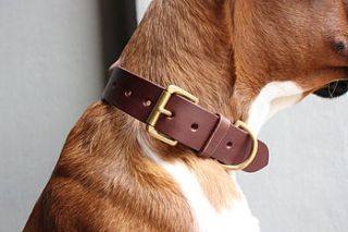 handmade leather dog collar by bone and rag