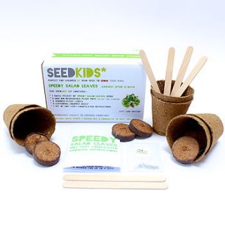 seedkids grow your own speedy salad kit by studio 9 ltd