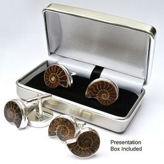 ammonite sterling silver cufflinks lighter by gilbert and skeggs
