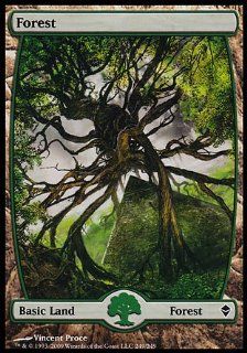 Magic the Gathering Forest (249)   Zendikar Toys & Games