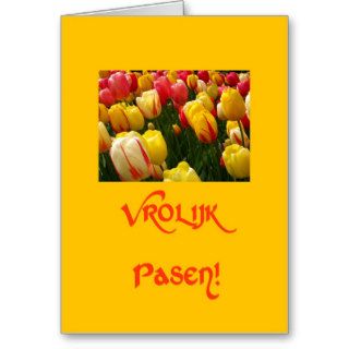 mixed tulips yellow easter greeting in dutch greeting card