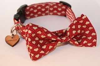 dickie valentine bow tie dog collar by scrufts