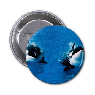 Whale Treading Water Killer Pinback Button