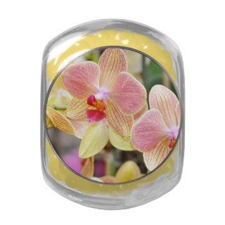 Candy Pink and Yellow Orchids Jelly Belly Candy Jars