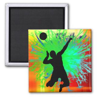 Volley Ball Service Fireworks Magnet
