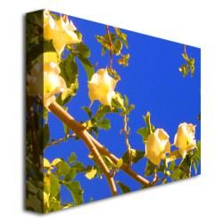 Amy Vangsgard 'Flowering Tree' Canvas Art Trademark Fine Art Canvas