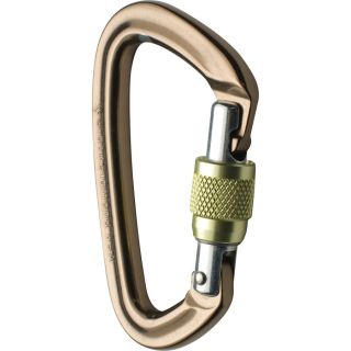 Black Diamond Positron Screwgate Carabiner