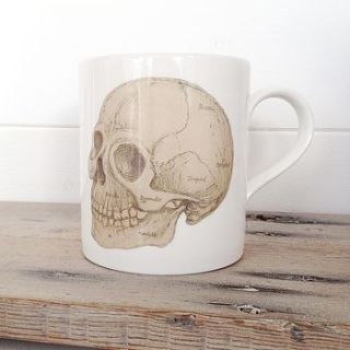 anatomical skull illustration bone china mug by cherry pie lane