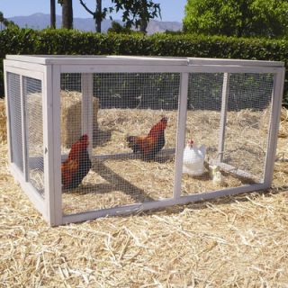 Extreme Hen Chicken Run