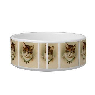 Vintage Brown & Green Cute Cat Painting Cat Food Bowls