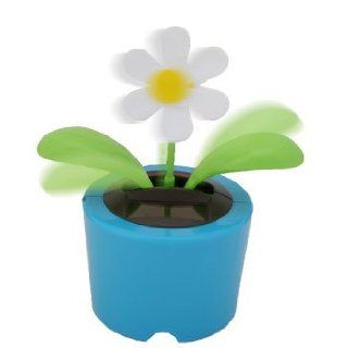Solar Dancing Flower (Bubble Package)   Blue Pot  Other Products  