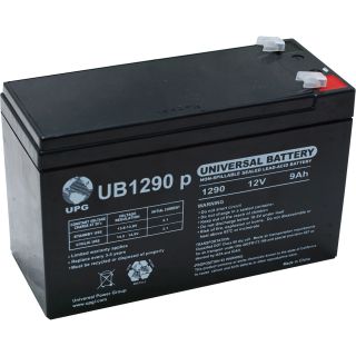 UPG Sealed Lead-Acid Battery — AGM-type, 12V, 9 Amps, Model# UB1290  Automotive Batteries
