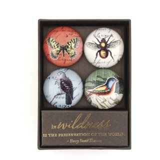 Eccolo World's Fair Collection Boxed Set of 4 Magnets, Birds, Bees, and Butterflies (QA205)  Office Desk Organizers 
