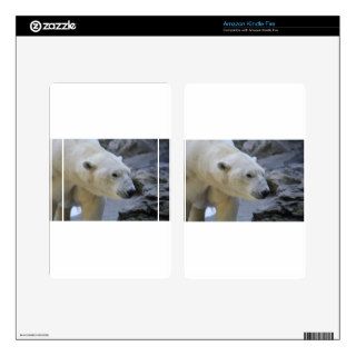 Polar bear decal for kindle fire