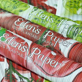 summer salad plantable wrapping paper pack by eden's paper