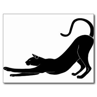 Cat Stretching Post Cards