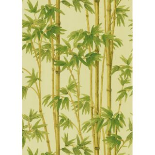 Brewster Home Fashions Echo Design Bamboo Wallpaper in Ivory