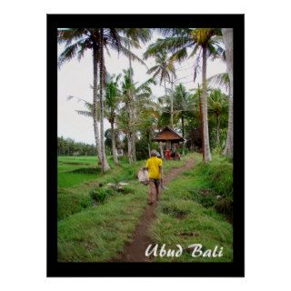 Poster  (18" x 24")  Rice field worker  Ubud Bali