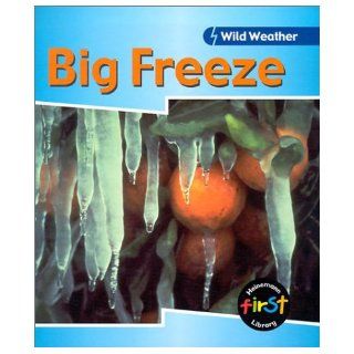 Big Freeze (Wild Weather) Catherine Chambers 9781588106582 Books