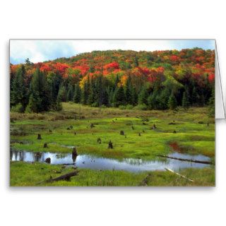 Beaver Meadow and hardwood forest, Quebec, Canada Greeting Card
