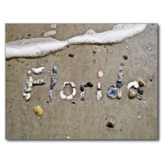 Florida Seashell Postcard