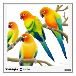 Colorful Sun Conures Wall Decal
