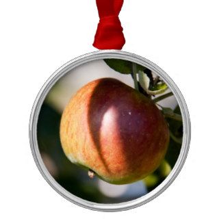 Apple Christmas Tree Ornament