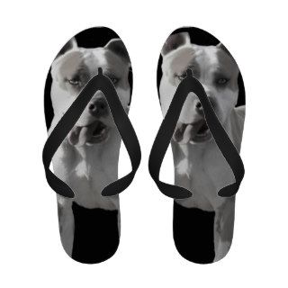 Pitbull dog flip flops sandals