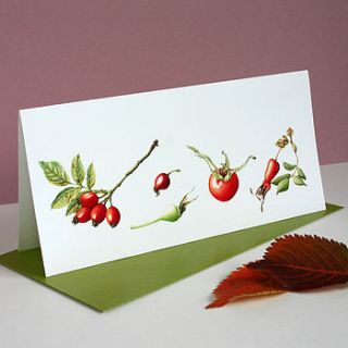 'rose hips' botanical autumn card by the botanical concept